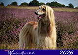 Kalender Titelbild 2026 FB Werbung