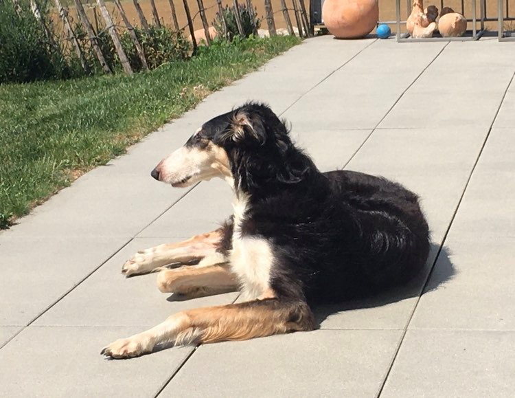 101405420 366651000976708 6252971435170463744 n