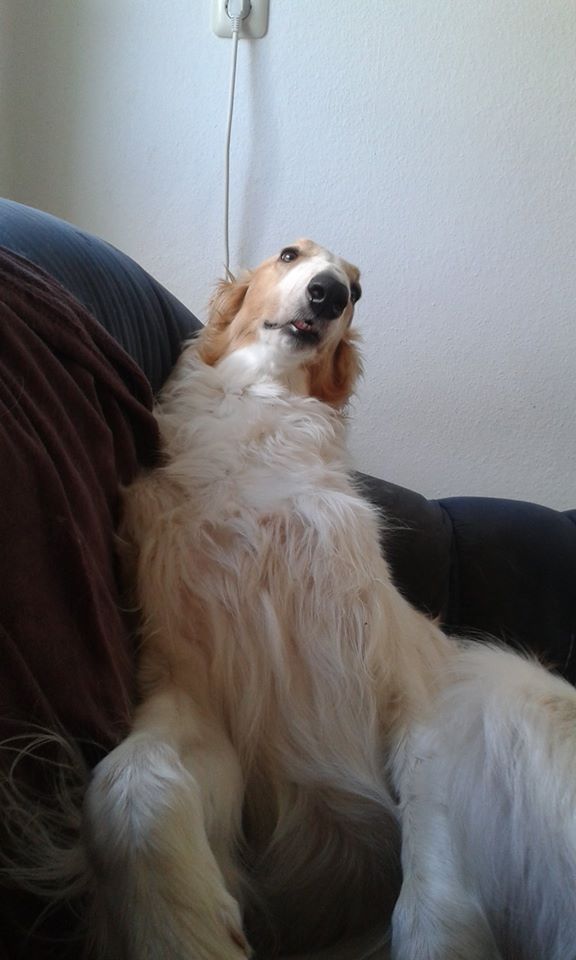 101885083 3913545885383705 7016893632904953856 o