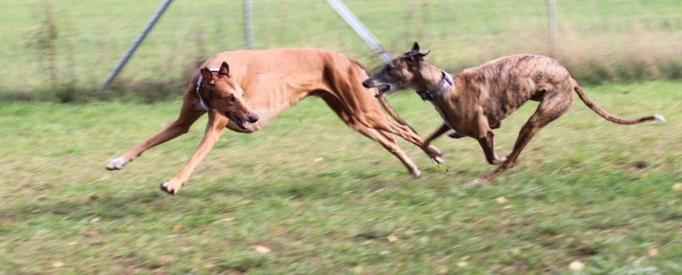 122288604 373445103709449 3503623360028292121 n