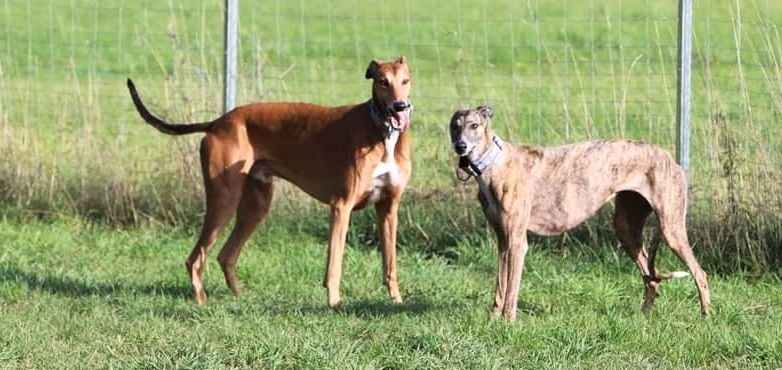 122331886 3507245612631706 8309017346829231886 n