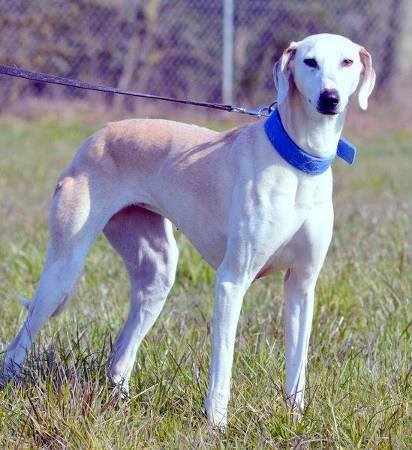 1918076 1071391589599163 4833140984332183249 n