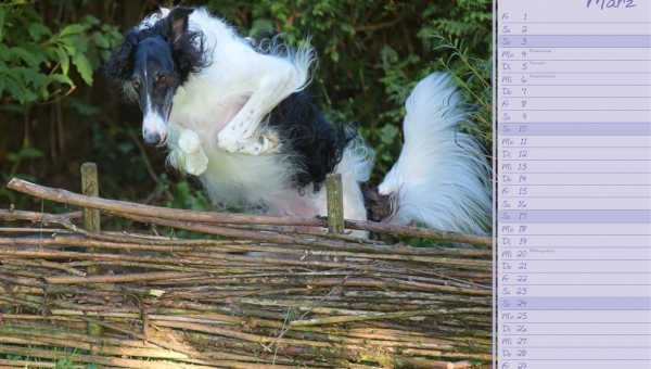 Unser Joker begrüßt den Monat März