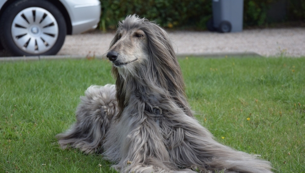 Spendenbescheinigungen