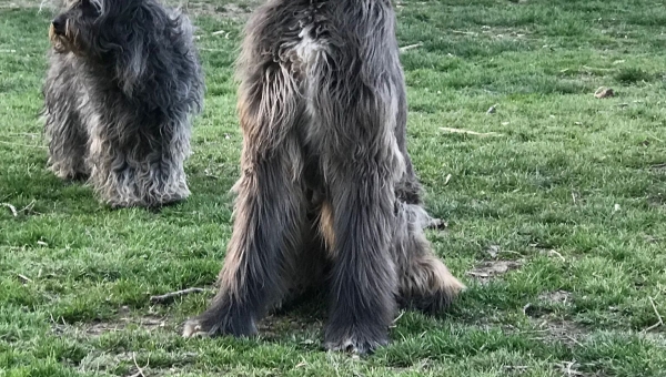 Bibah hat ein Zuhause