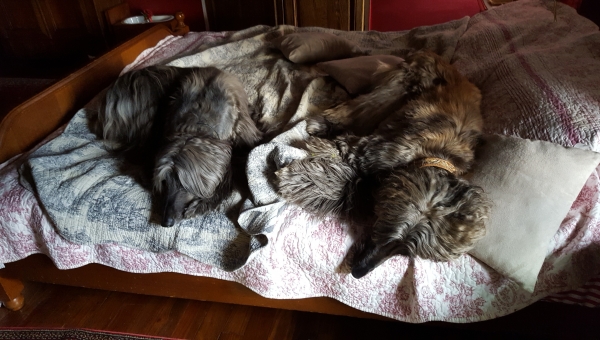 Rosa hat ihre Familie gefunden