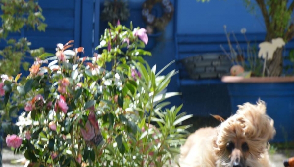 Wichtige Entscheidungen trifft mein Mann…