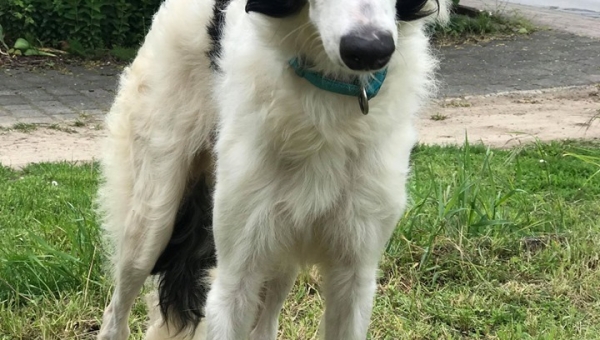 Zum Glück nicht lila