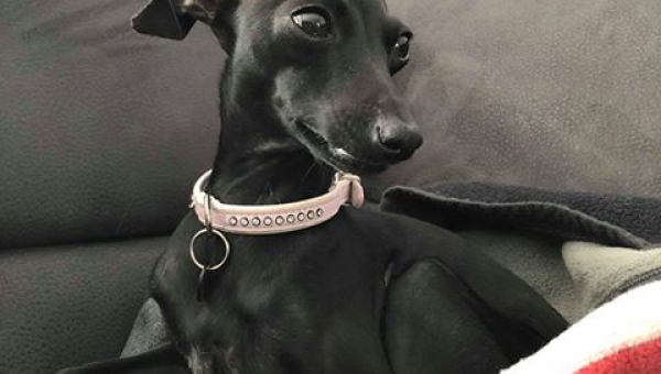 Ein lieber Gruß von Ada erreichte uns