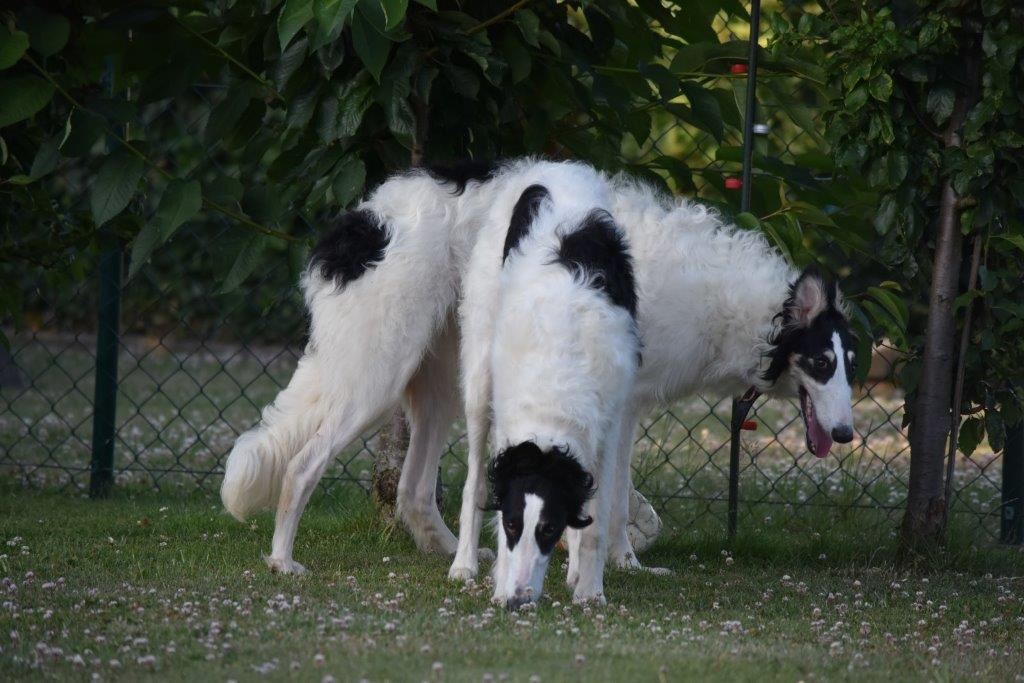 Richtig toll spielen