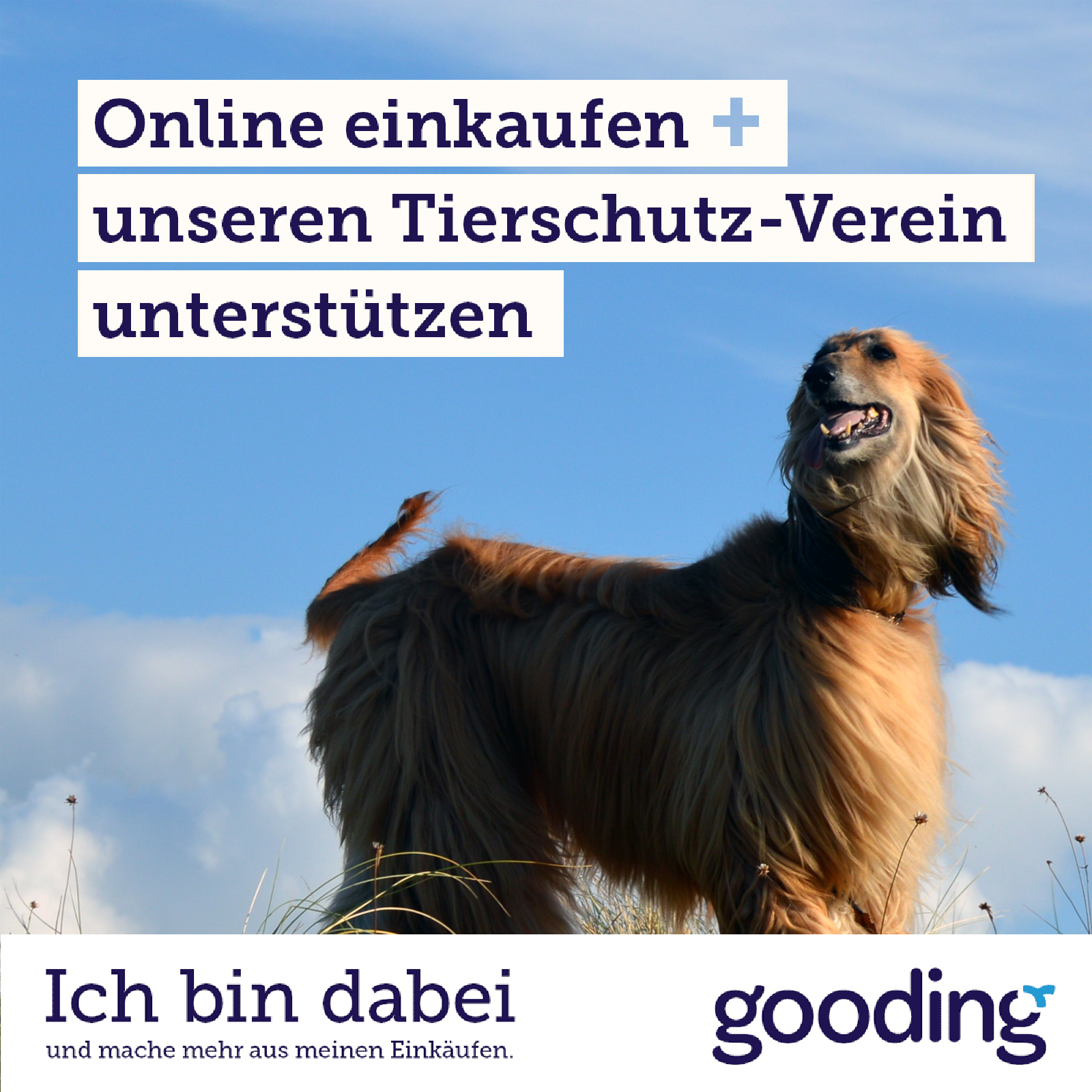 gooding - eBay ist wieder dabei!