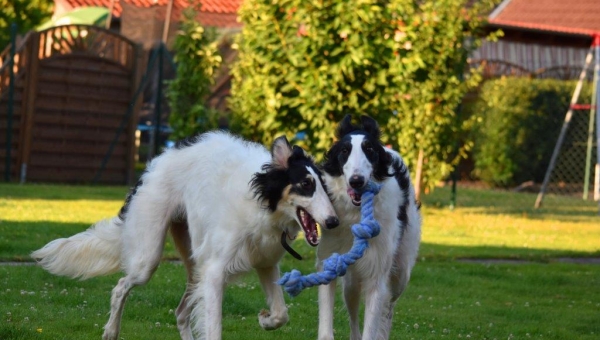 Das alltägliche Auf und Ab