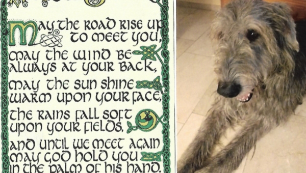 Last Farewell to Tucker