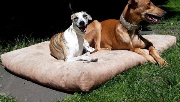 Nummer acht bleibt auch.