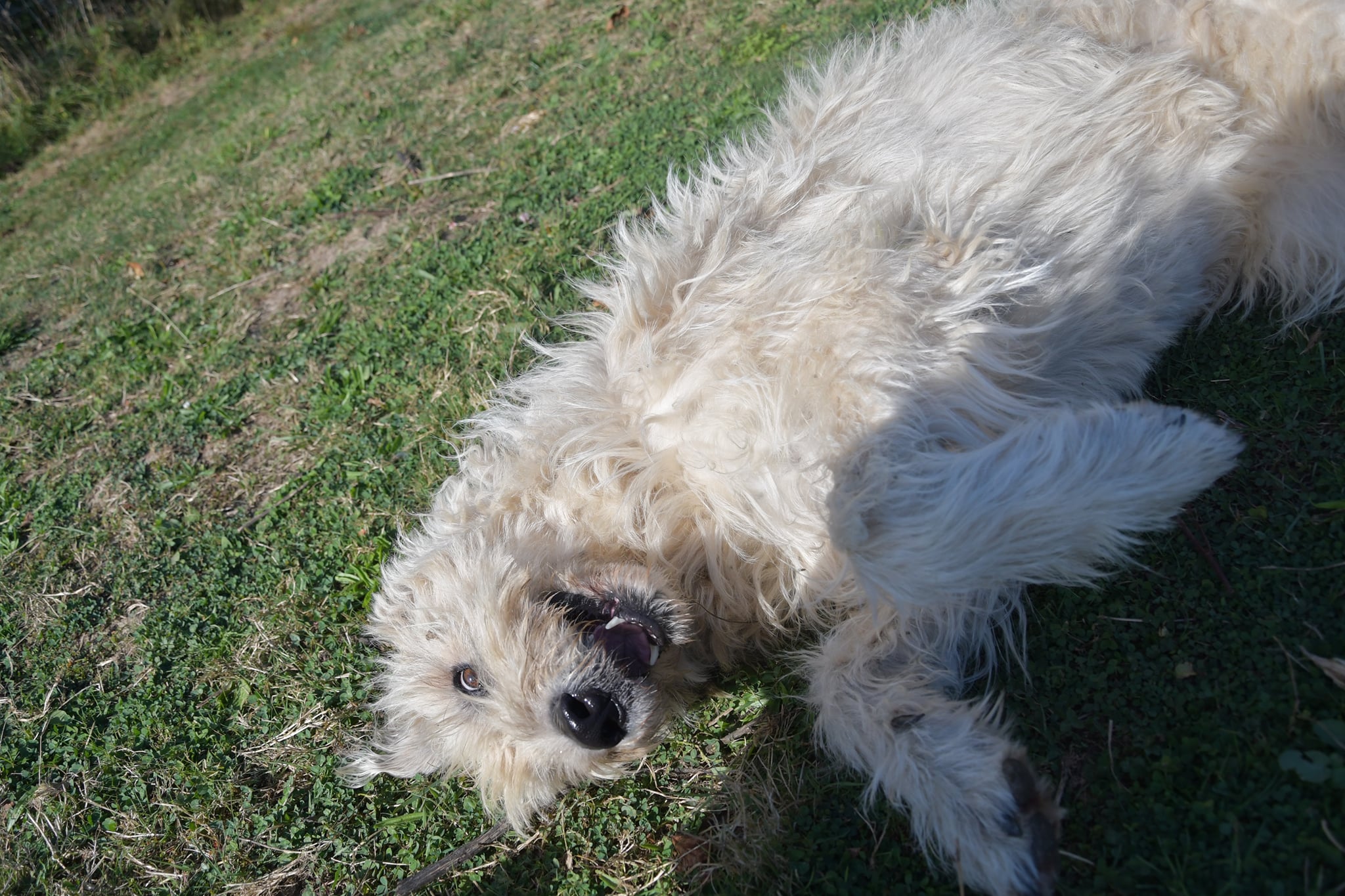 Neuigkeiten zum Wochenbeginn