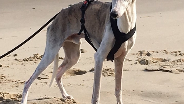 Happy birthday old man!