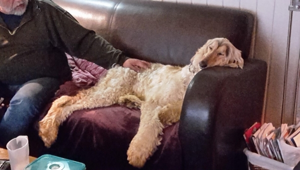 Milo hat eine neue Familie!