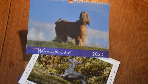 Ganz frisch gedruckt