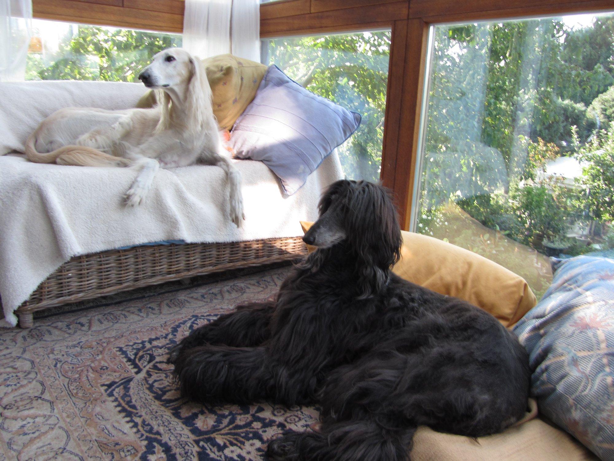 Wir lieben Weihnachtspost