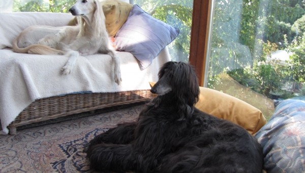 Wir lieben Weihnachtspost