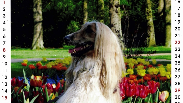 Alisha begrüßt den März