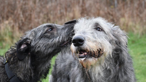 Liebe auf den ersten Blick