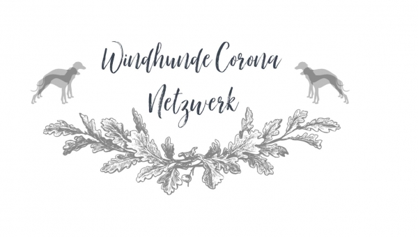 Windhunde Corona Netzwerk