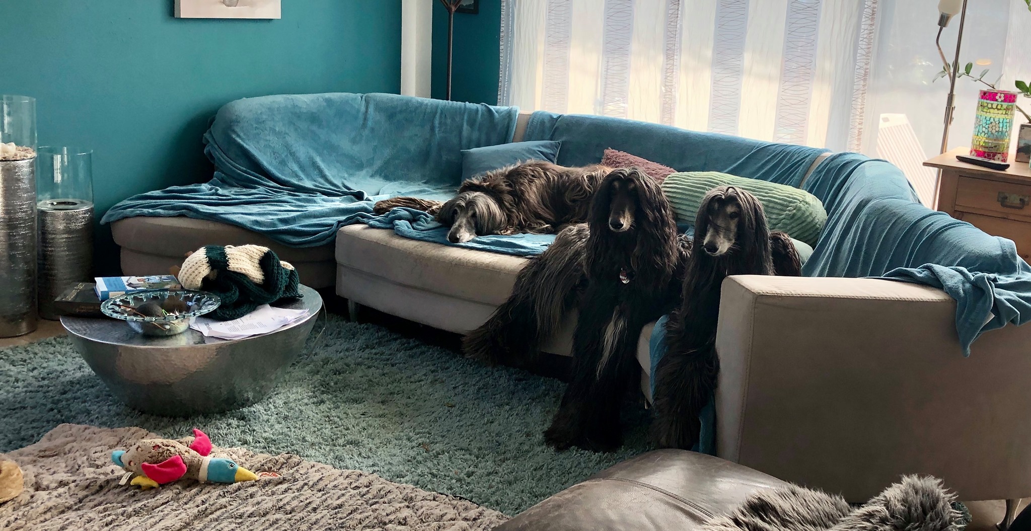 Stay Home - Save Lives