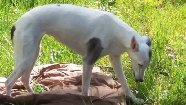 Mal was zum Nachdenken