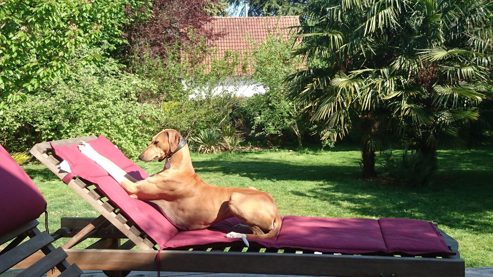 Drei iWi-Plätzchen werden wieder besetzt