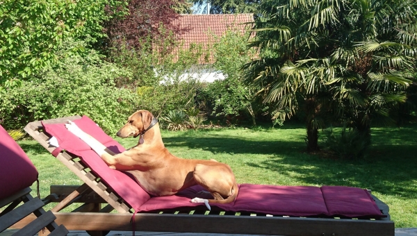 Drei iWi-Plätzchen werden wieder besetzt