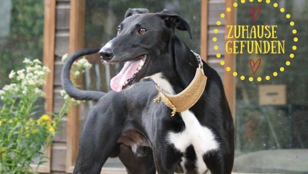 ...was lange währt, wird endlich gut