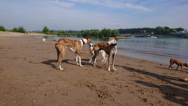 So klein ist die Welt