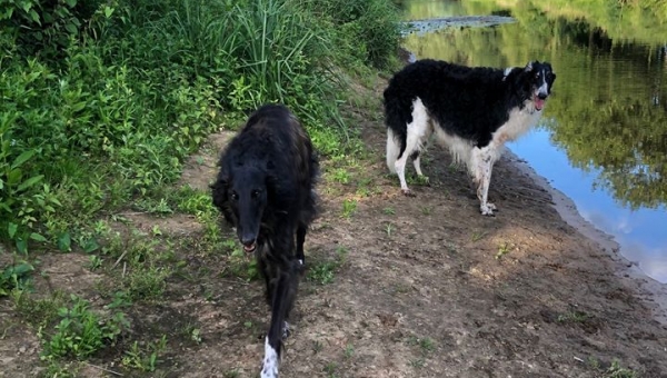 Nachrichten von Tink