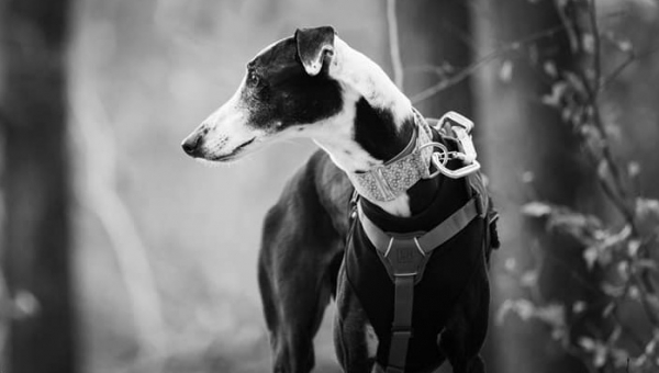 Manchmal ist das Leben nicht fair... 