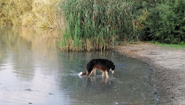 Viel Glück für die schöne Linda