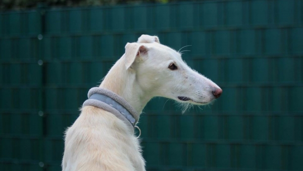 ...die Sonne geht auf