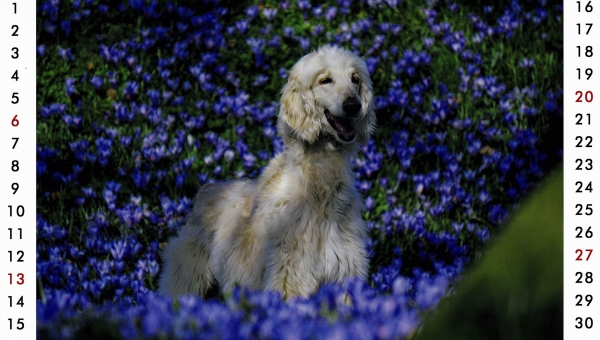 Unser Gottfried begrüßt den September