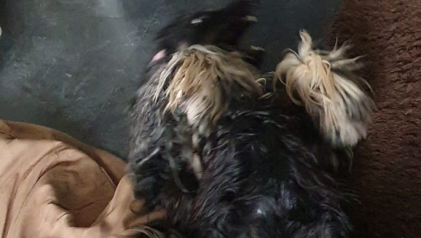 neues Domizil gefunden