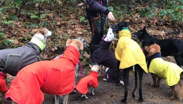 Und das Beste des heutigen Tages...