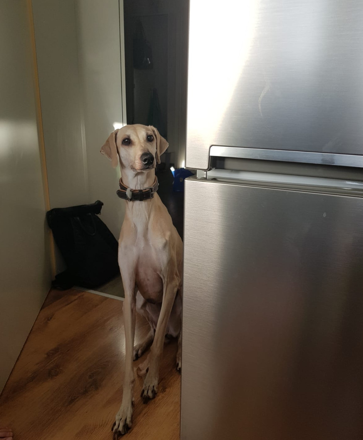 Schmuckstück sucht...