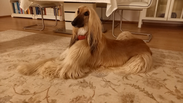  Mal wieder Zeit für ein Happy End.... 