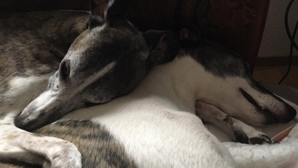 Kuschlige Grüße...