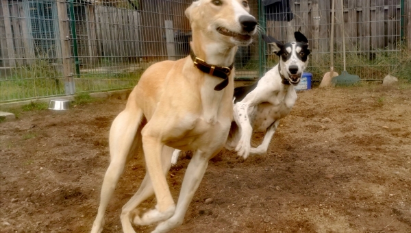 wilde und lustige Schätze suchen