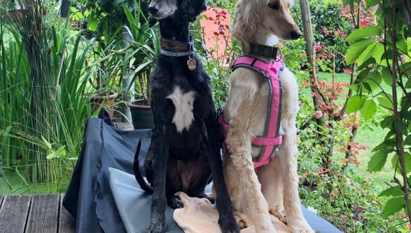 Molly hat es geschafft