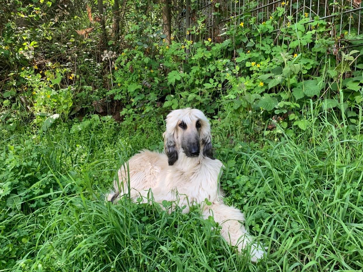 Unsere blonde Schönheit