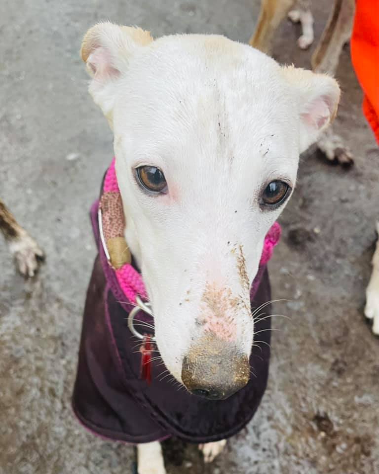 214655318 5751160061592640 569791482687917731 n