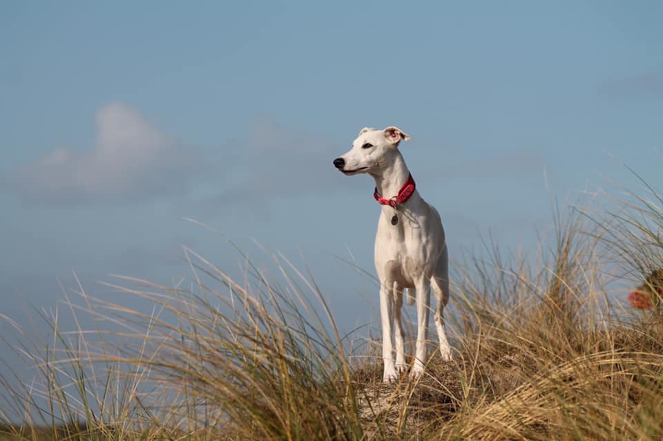 214859768 5751159124926067 3517644427416415516 n