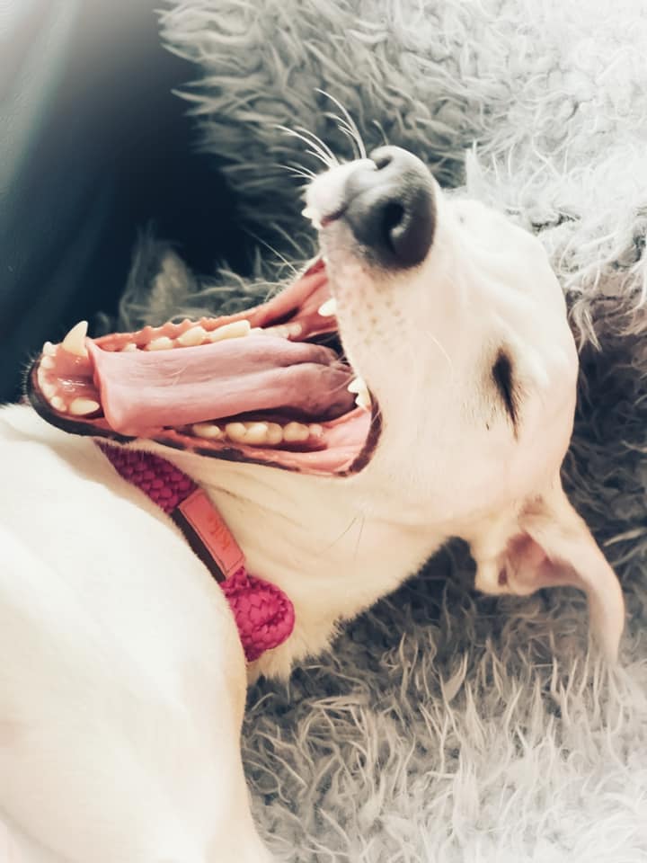 214884617 5751159268259386 9192220822251146249 n