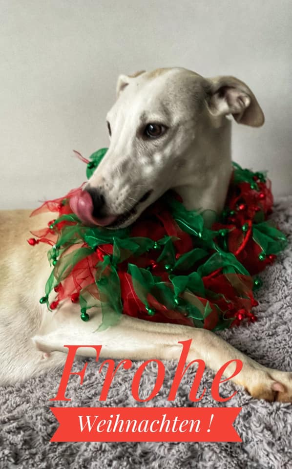 215360317 5751159518259361 3444269192285417007 n